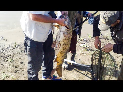 თევზაობა ალგეთის წყალსაცავზე